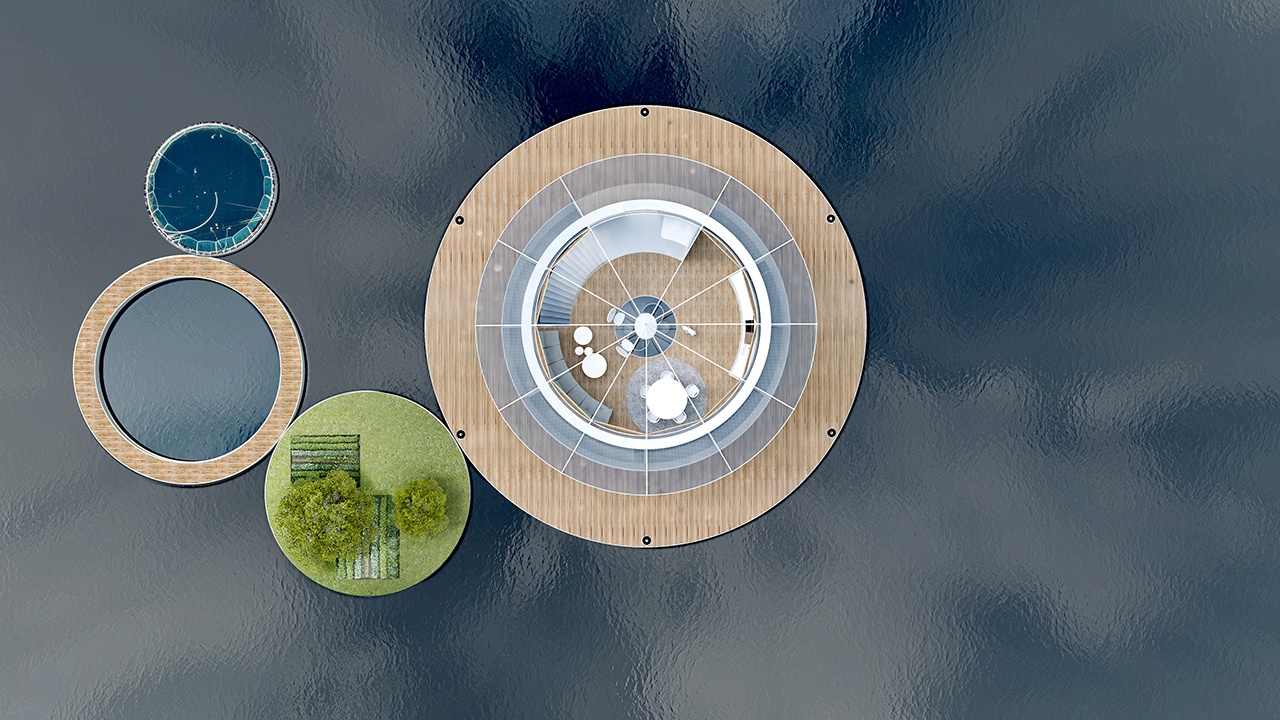 ALGAE COLONY