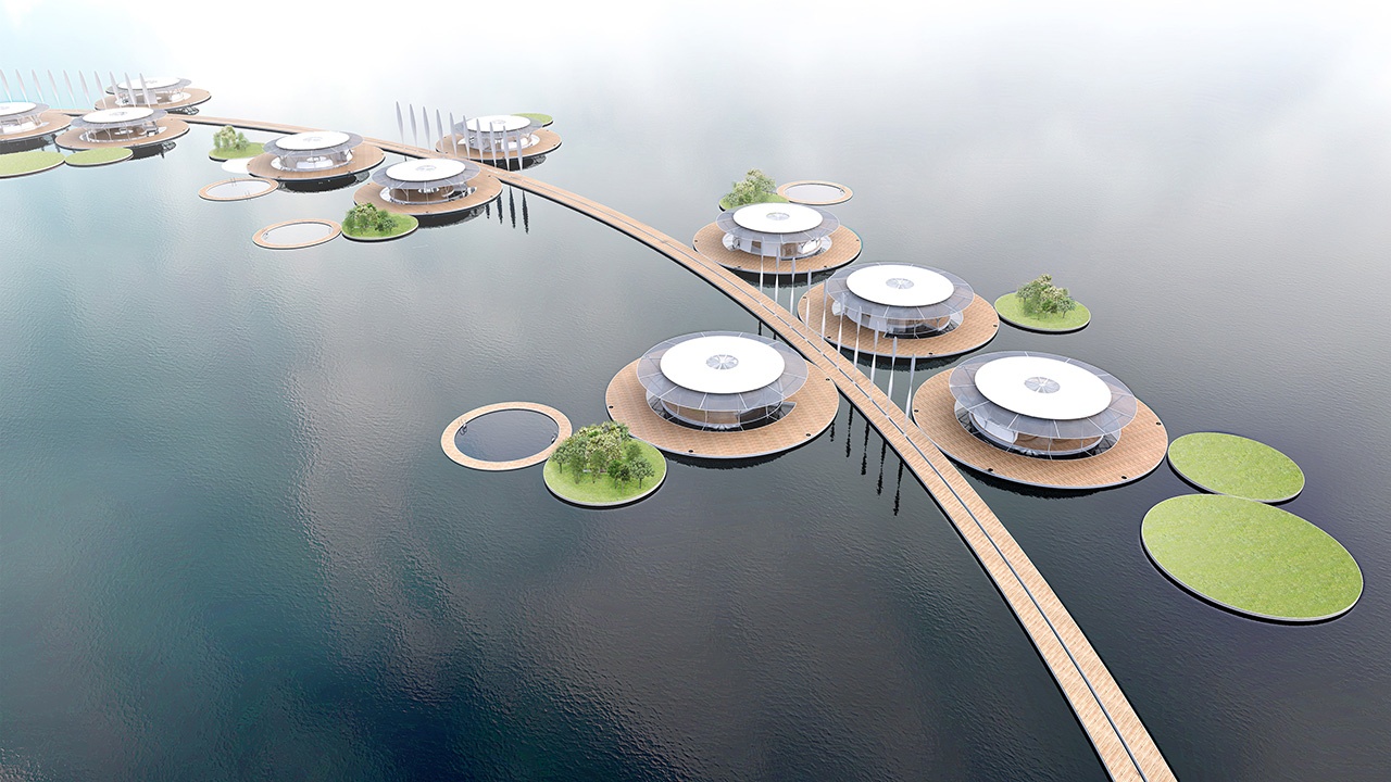 ALGAE COLONY