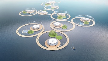 ALGAE COLONY
