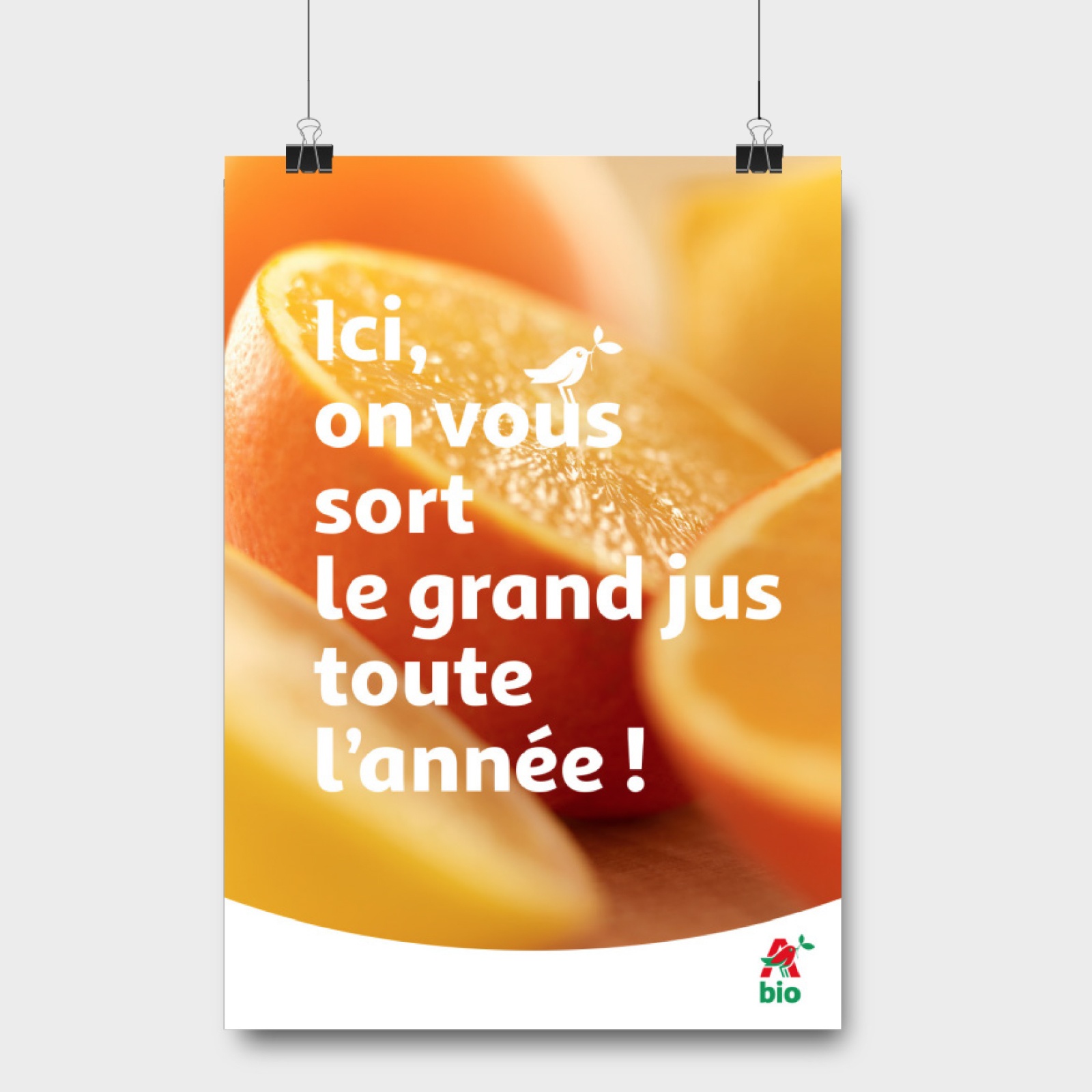 AUCHAN BIO