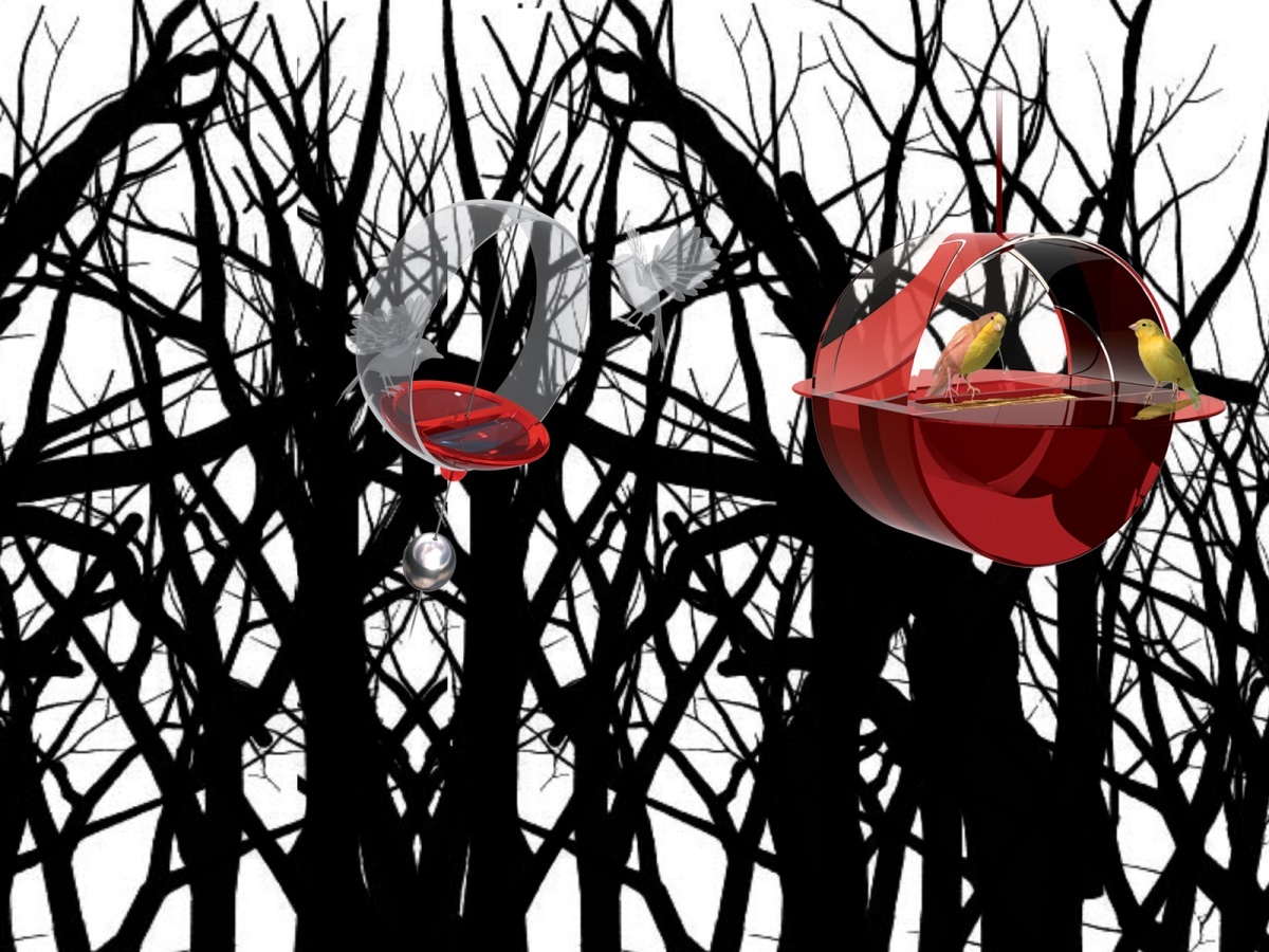 BIRD HOUSE