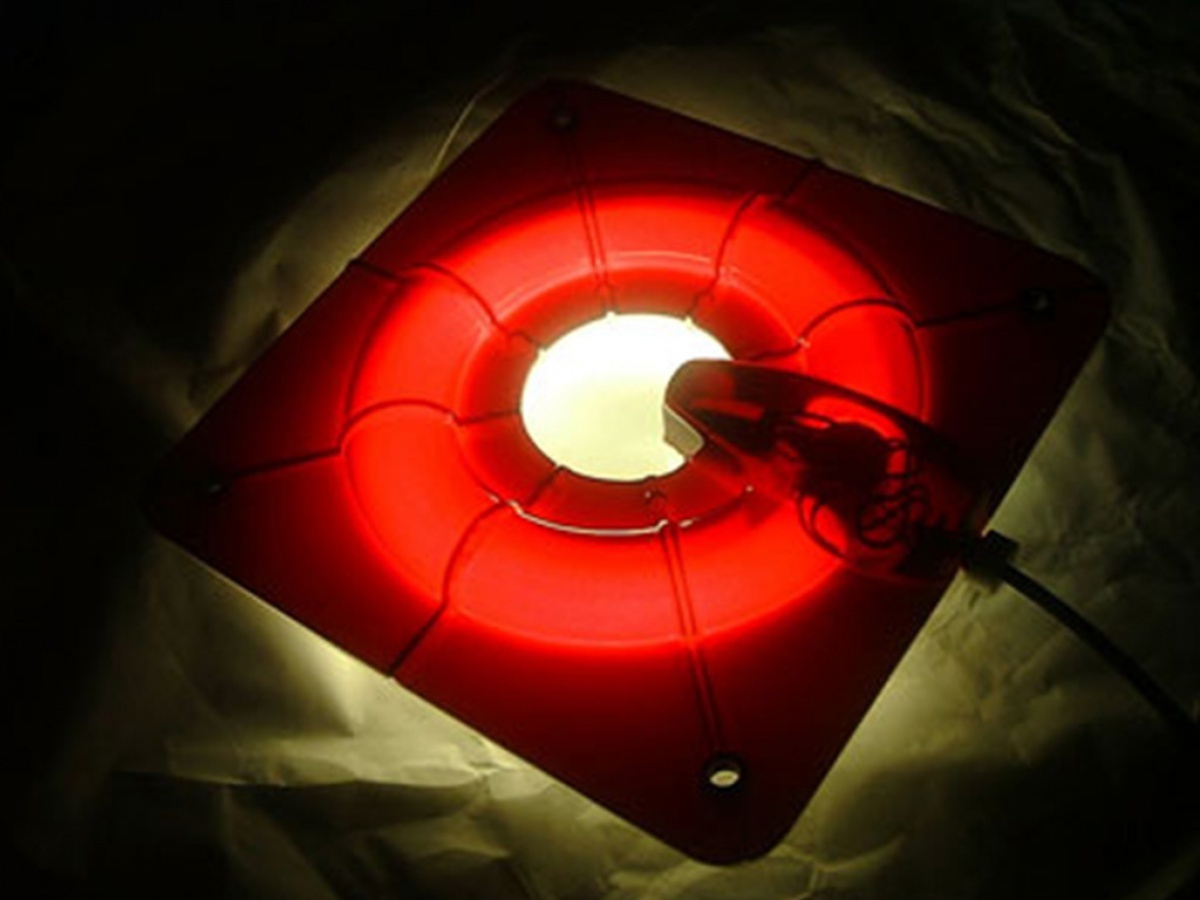 FREEZ-BEE LAMP