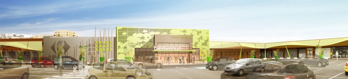 RÉNOVATIONS DE CENTRE COMMERCIAUX CARREFOUR 